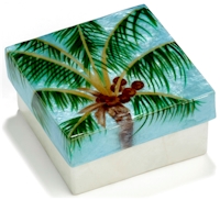Palm tree with coconuts