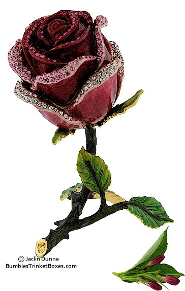 Rose+Burgundy+jpg Rose+Burgundy+jpg