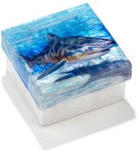 Shark in blue waters trinket box.